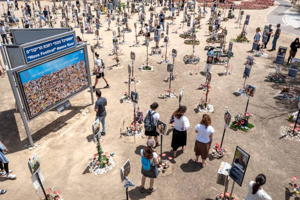 Plant a tree - Nova forest